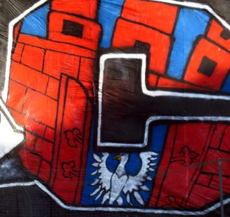 Cracovia - Raków Częstochowa  (8)