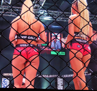 Gala: MMA Attack 5 / Silesian MMA 20 / WIP 10 – Będzin (3)