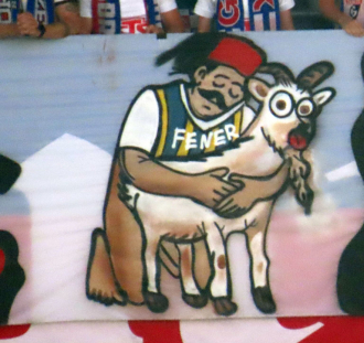 Górnik Zabrze- Fenerbahce Stambuł  (15)