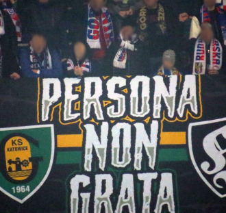 Górnik Zabrze - Lech Poznań  (22)