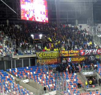 Górnik Zabrze - Pogoń Szczecin  (16)