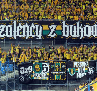 Lech Poznań - GKS Katowice  (6)