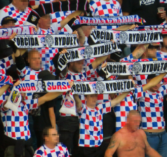 Motor Lublin – Górnik Zabrze  (15)