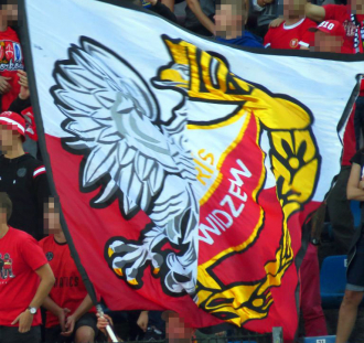 Odra Opole - Widzew Łódź (13)