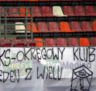 Podbeskidzie Bielsko-Biała – Zagłębie Sosnowiec (25)