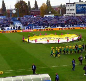 Ruch Chorzów - Arka Gdynia  (9)