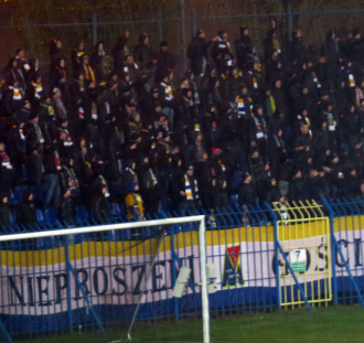 Ruch Chorzów - Motor Lublin  (11)