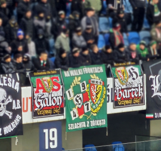 Ruch Chorzów - Śląsk Wrocław (5)