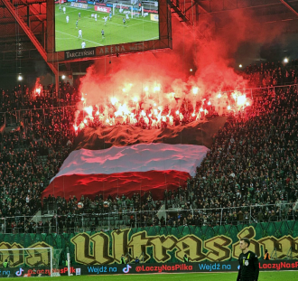Śląsk Wrocław - Stal Rzeszów  (12)