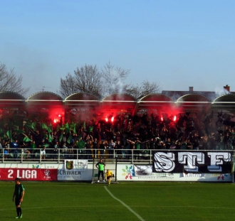 Stal Stalowa Wola - Widzew Łódź (14)