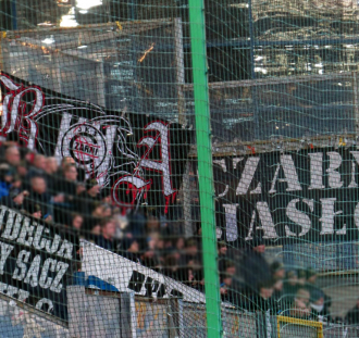 Wisła Kraków - Stal Mielec (13)