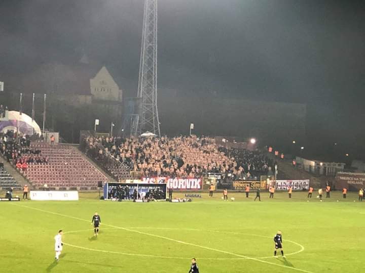 pogon-pornik-2019-2