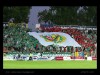 One Year To Go bez pokazu kibiców Śląska