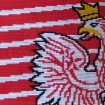 Mecz Irlandia - Polska kibicowsko
