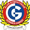 Górnik 