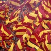 Wokół meczu Jagiellonia - Irtysz