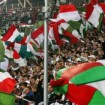 Legia bez 