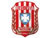 Turniej kibiców Resovii