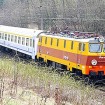 Fani Widzewa oskarżają policję