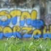 Apel gorzowskich władz
