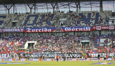 Kibice Górnika Zabrze
