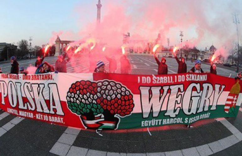 Kibice na meczu hokeja Polska - Węgry