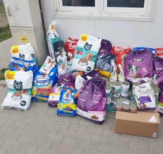 Sukces akcji pomocowej kibiców Stali Mielec dla zwierzaków ze schronisk