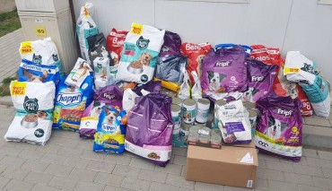 Kibice Stali Mielec dla zwierzaków ze schronisk