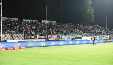 Kibice Zagłębia Sosnowiec