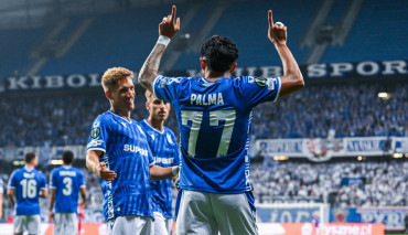 palma gol lech rapid