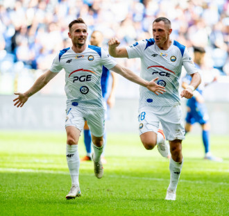 Pasy zatrzymane w Mielcu