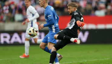 szromnik gornik slask